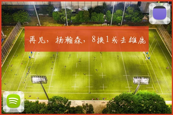 再见，杨瀚森，8换1或去雄鹿